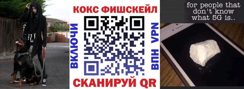 КОКАИН Fish Scale  дарнет шоп  Ярославль 