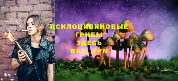 МДПВ Абдулино